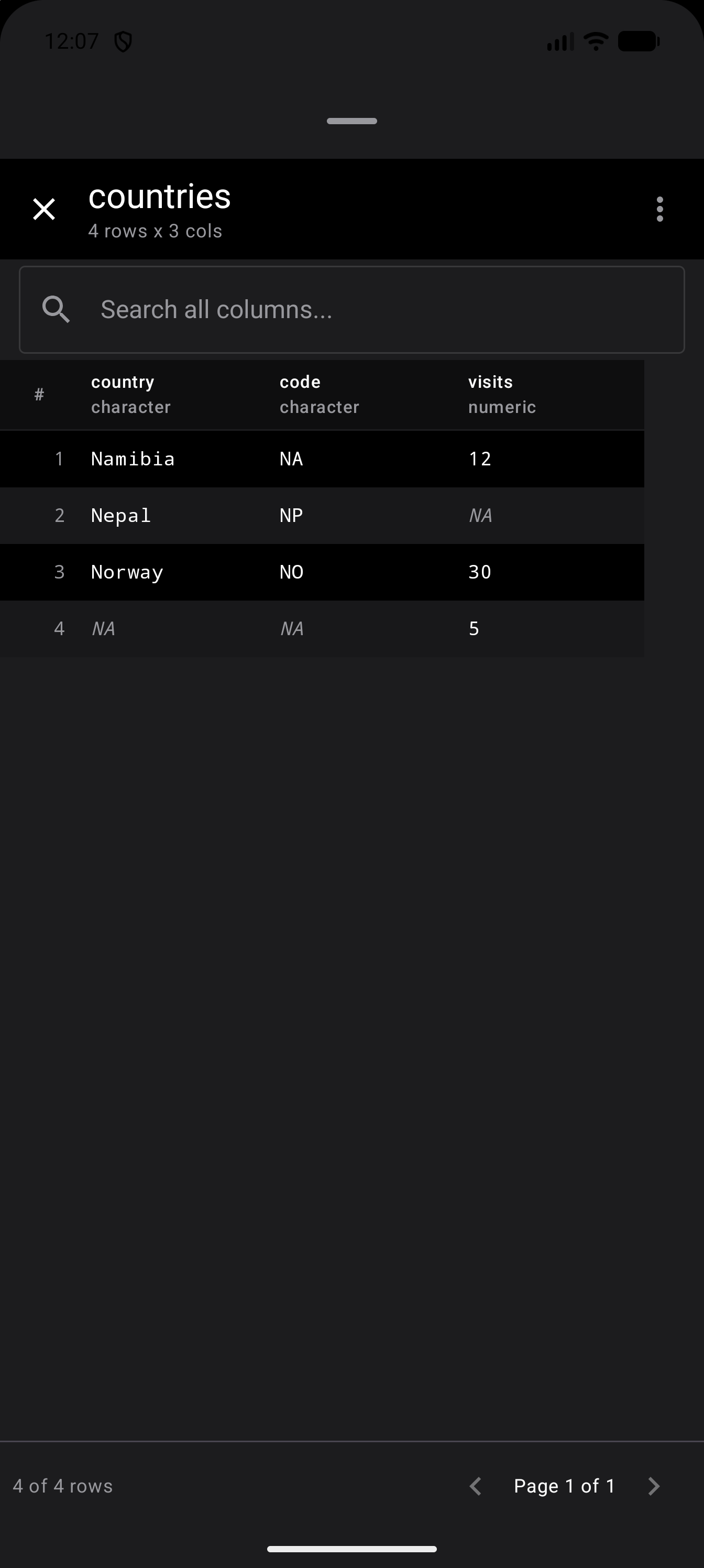 Data Frame Viewer on a countries data frame with 4 rows and the columns country, code and visits. Three missing values show as NA in muted italics: Nepal’s visits and the country and code of row 4. Namibia’s code, the text “NA”, is in plain type, in dark mode