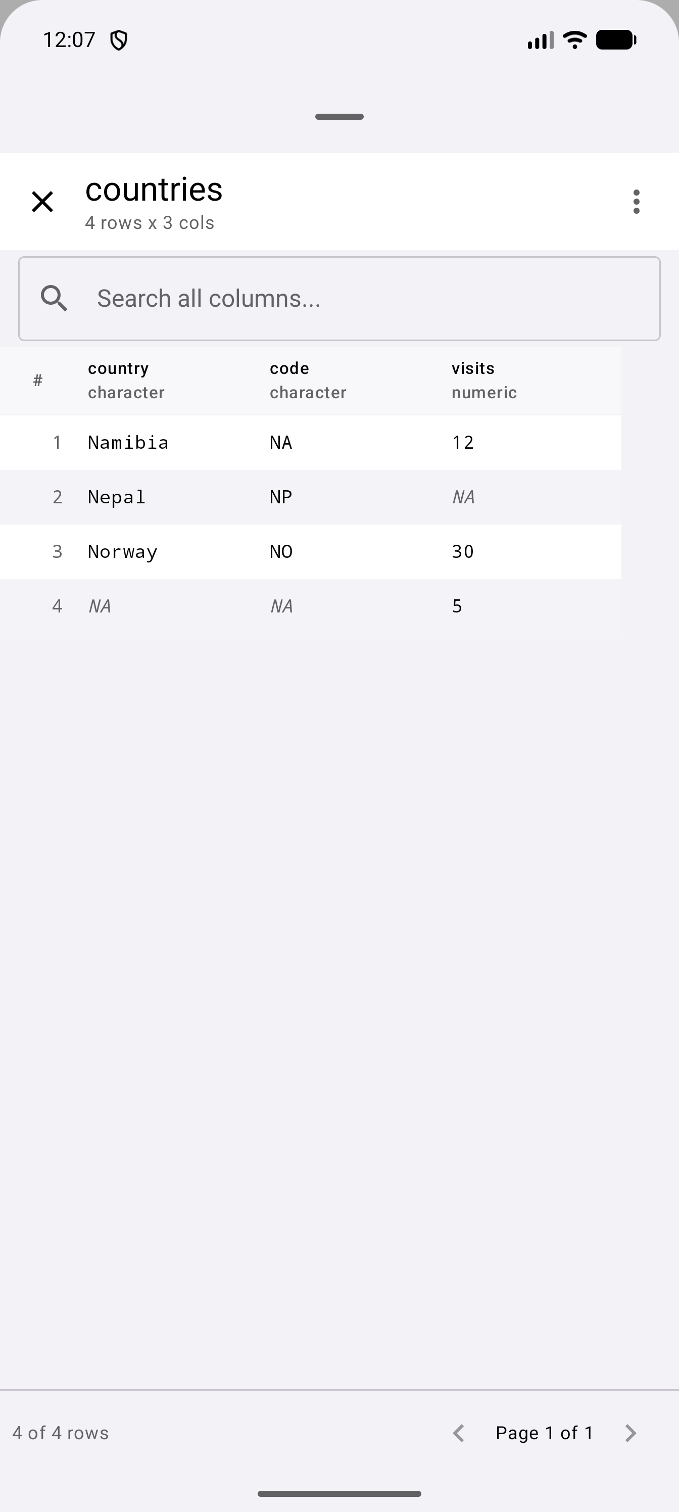 Data Frame Viewer on a countries data frame with 4 rows and the columns country, code and visits. Three missing values show as NA in muted italics: Nepal’s visits and the country and code of row 4. Namibia’s code, the text “NA”, is in plain type