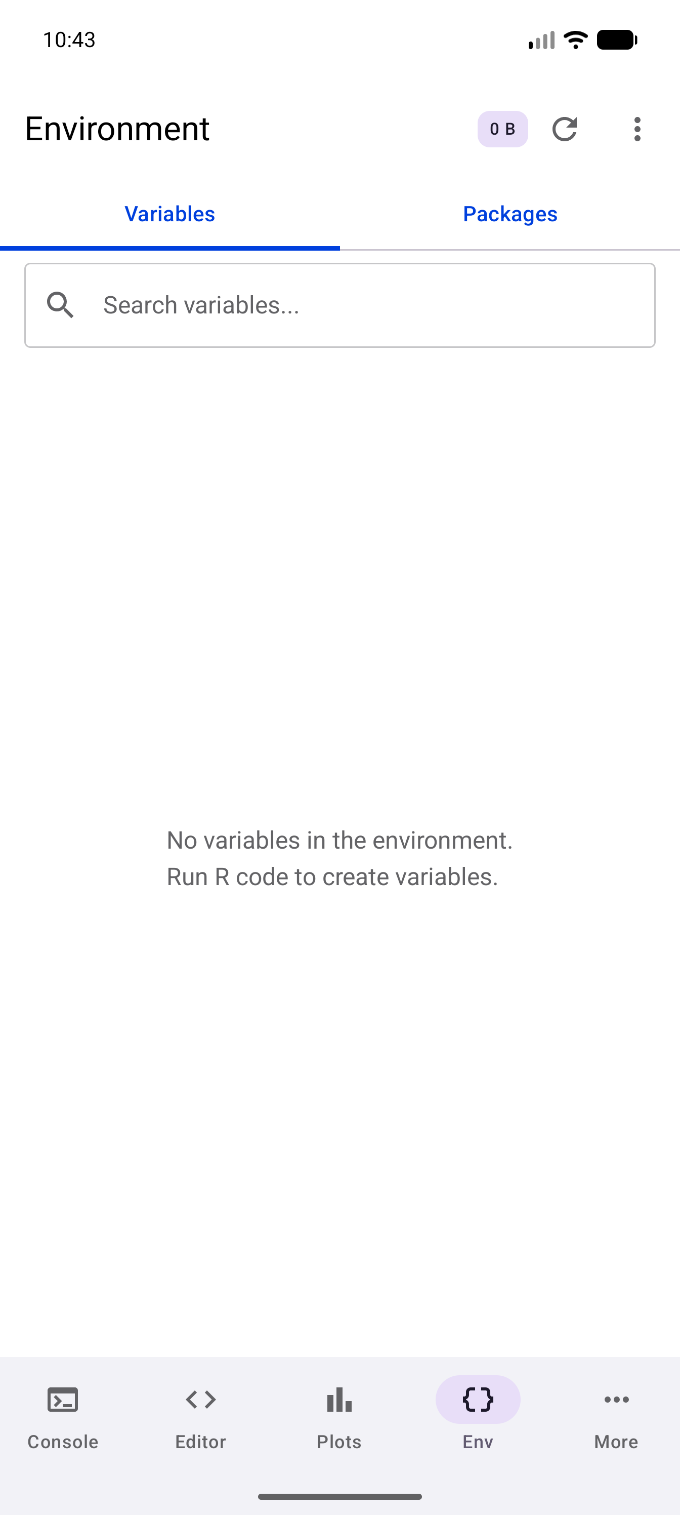 Empty Environment screen before any variables have been created