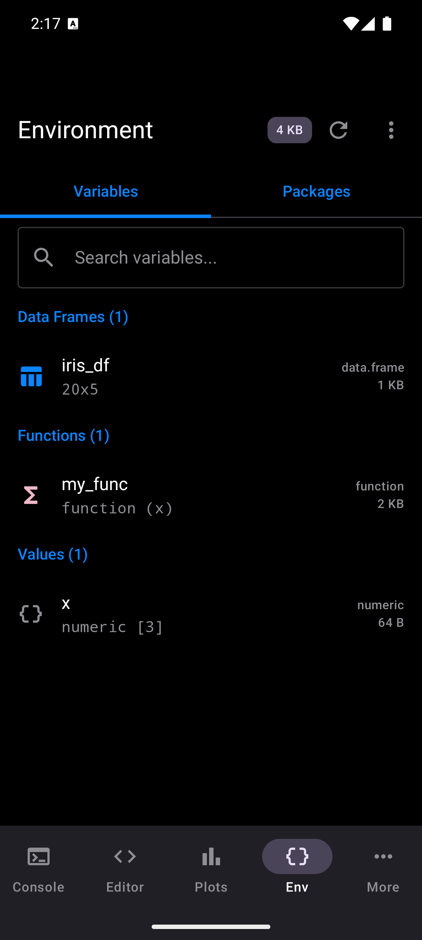 Environment tab showing variables grouped by type in dark theme