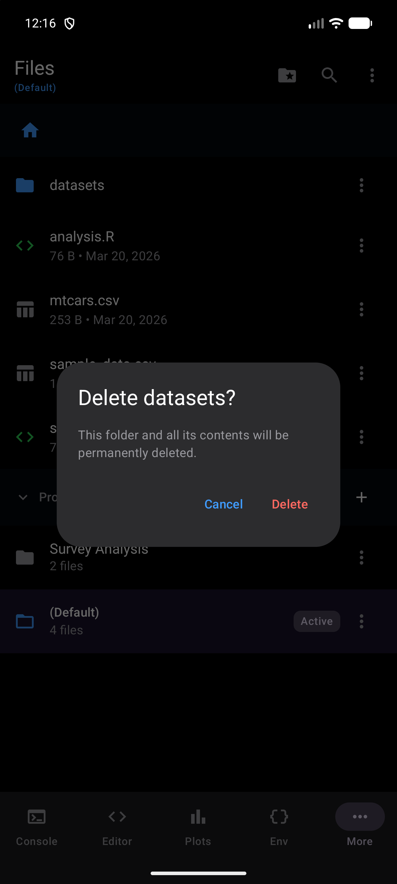 The confirmation for deleting the datasets folder, titled “Delete datasets?”, warning that the folder and all its contents will be permanently deleted, with Cancel and a red Delete button, in dark mode