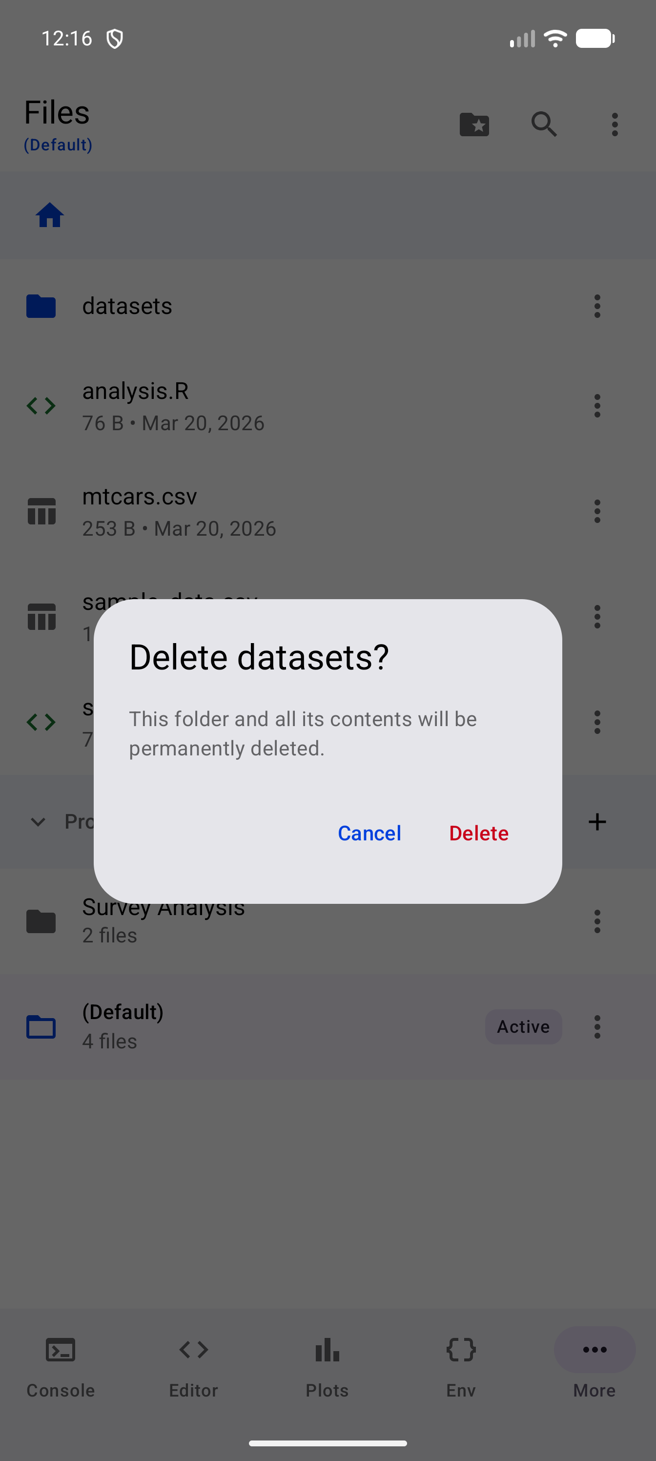 The confirmation for deleting the datasets folder, titled “Delete datasets?”, warning that the folder and all its contents will be permanently deleted, with Cancel and a red Delete button