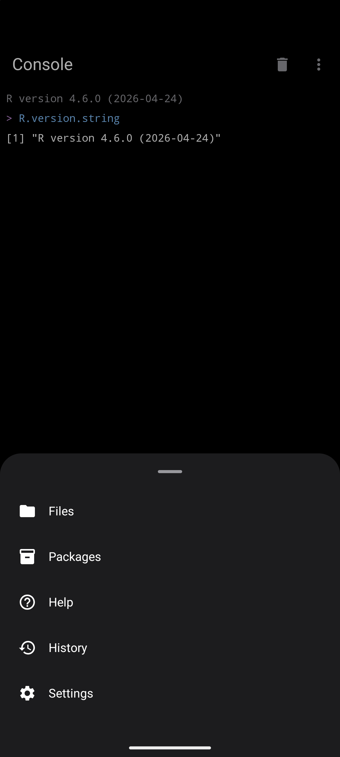 The More sheet open over the Console, listing Files, Packages, Help, History and Settings, each with its icon, in dark mode