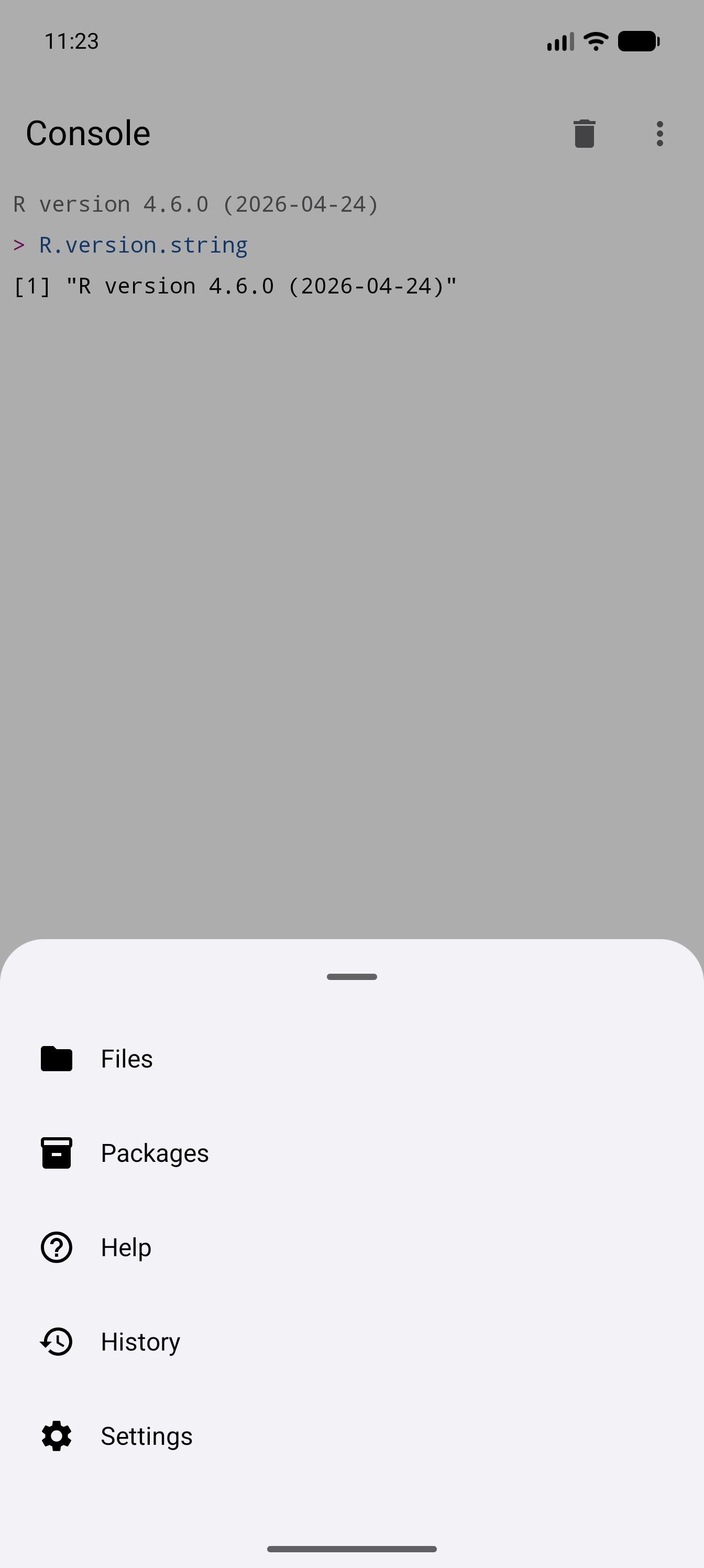 The More sheet open over the Console, listing Files, Packages, Help, History and Settings, each with its icon