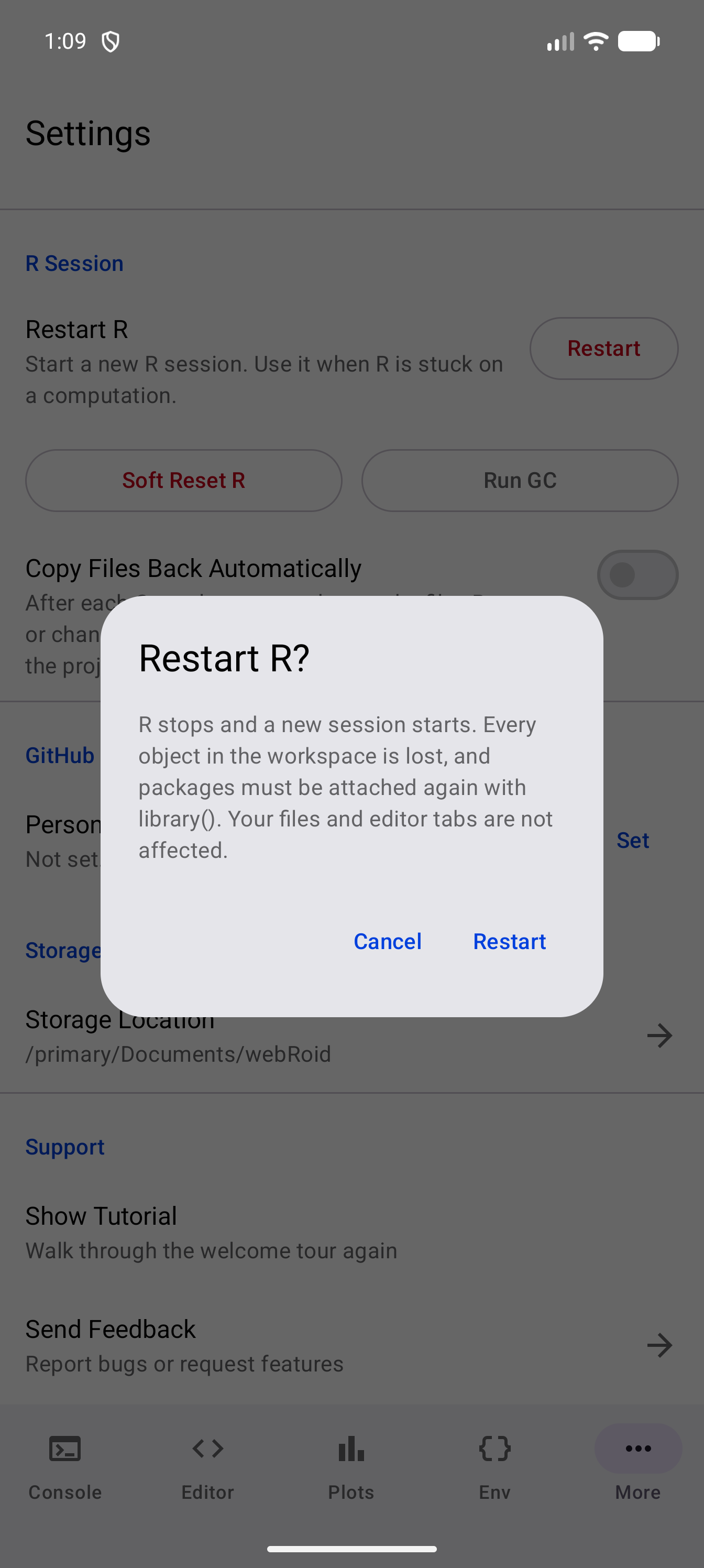 The Restart R? confirmation over Settings, saying that R stops and a new session starts, every object in the workspace is lost and packages must be attached again with library(), and files and editor tabs are not affected, with Cancel and Restart buttons